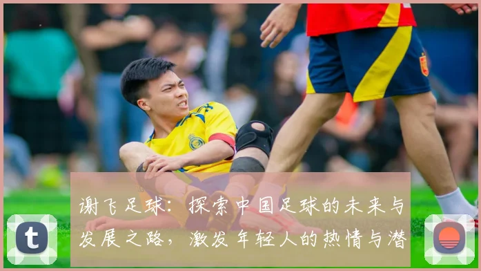 谢飞足球：探索中国足球的未来与发展之路，激发年轻人的热情与潜力