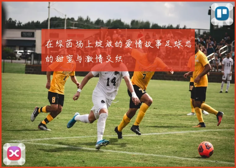 在绿茵场上绽放的爱情故事足球恋的甜蜜与激情交织
