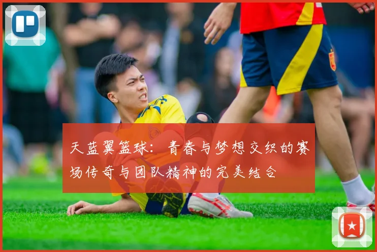 天蓝翼篮球：青春与梦想交织的赛场传奇与团队精神的完美结合